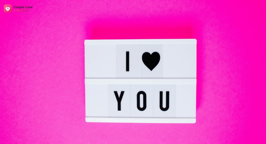 Couple love calculator result displaying a love percentage score